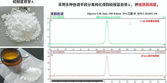 1661756936775131.jpg rd1.jpg